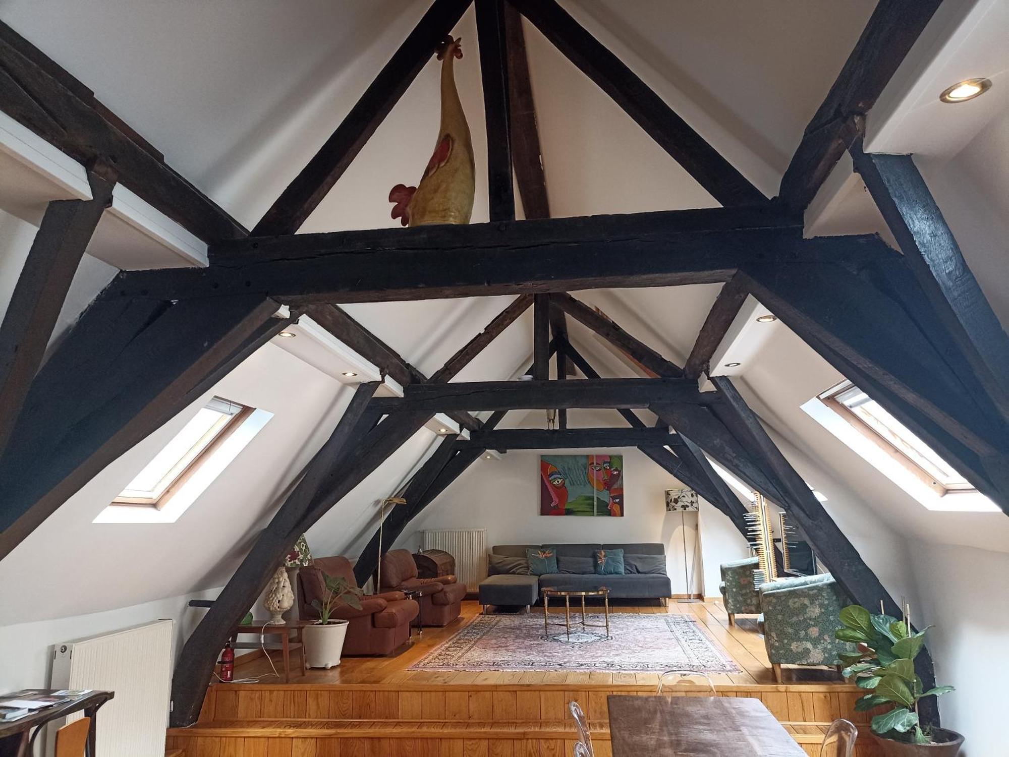 Spacious Duplex In Brussels Historical Center Εξωτερικό φωτογραφία